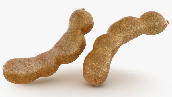 Tamarind Collection 3D model - TurboSquid 1913379