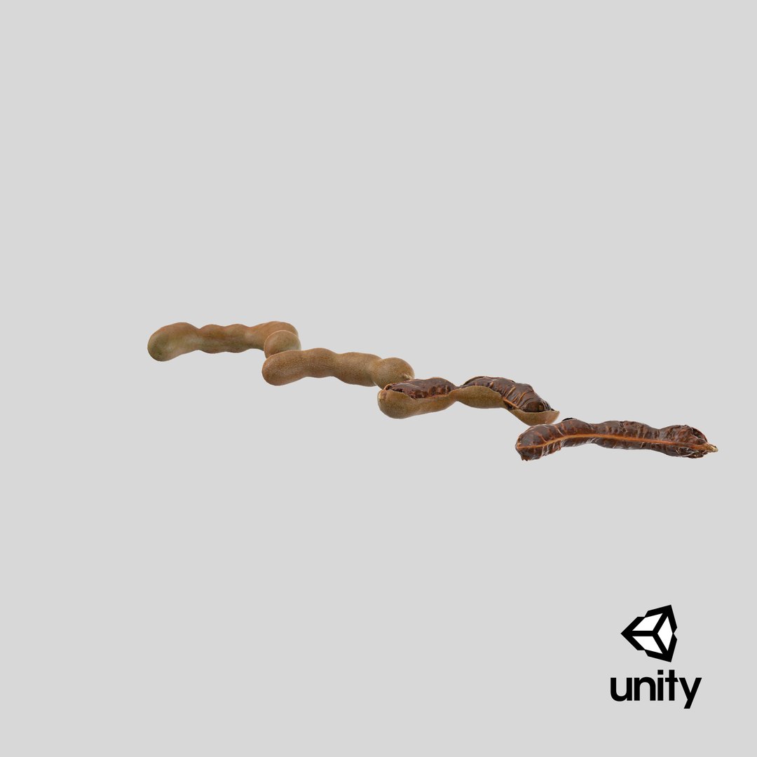 Tamarind Collection 3D model https://p.turbosquid.com/ts-thumb/Nc/rm3tLi/o7/stemcell_unity_render/png/1655568037/1920x1080/fit_q87/309983c855f557db29fb80cdfb26a3e2cc0f4443/stemcell_unity_render.jpg