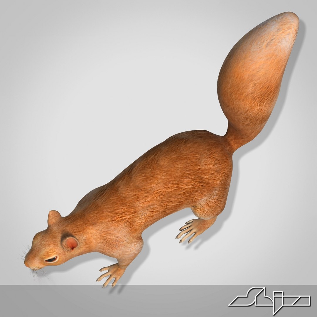 Squirrel Rigged Character Studio Biped 3d Model