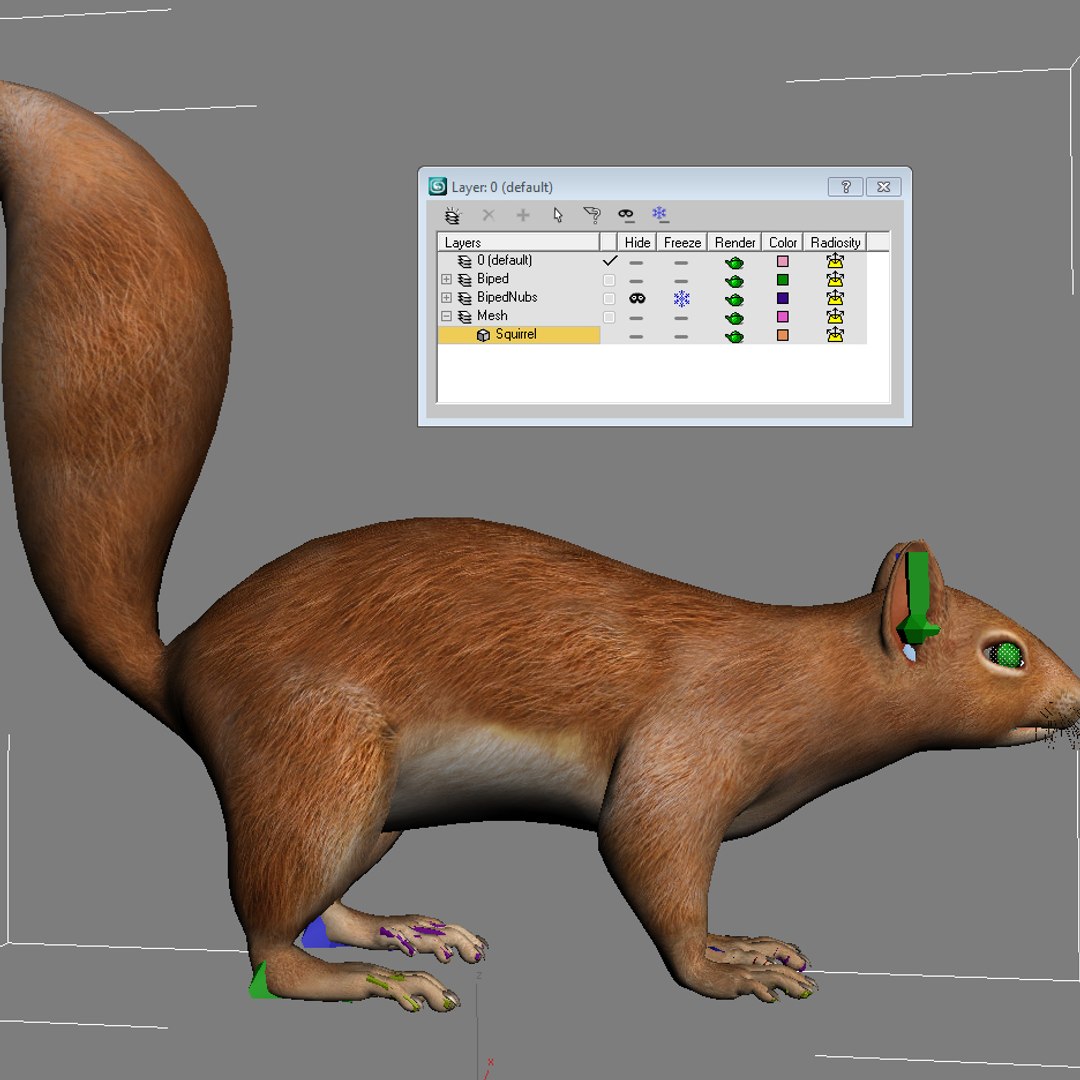 Squirrel Rigged Character Studio Biped 3d Model