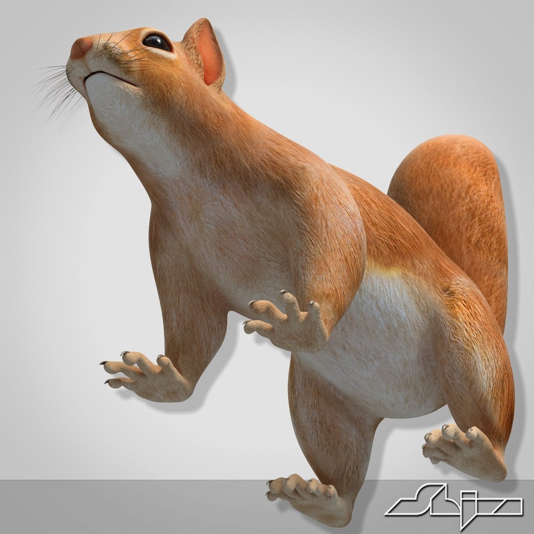 Squirrel Rigged Character Studio Biped 3d Model