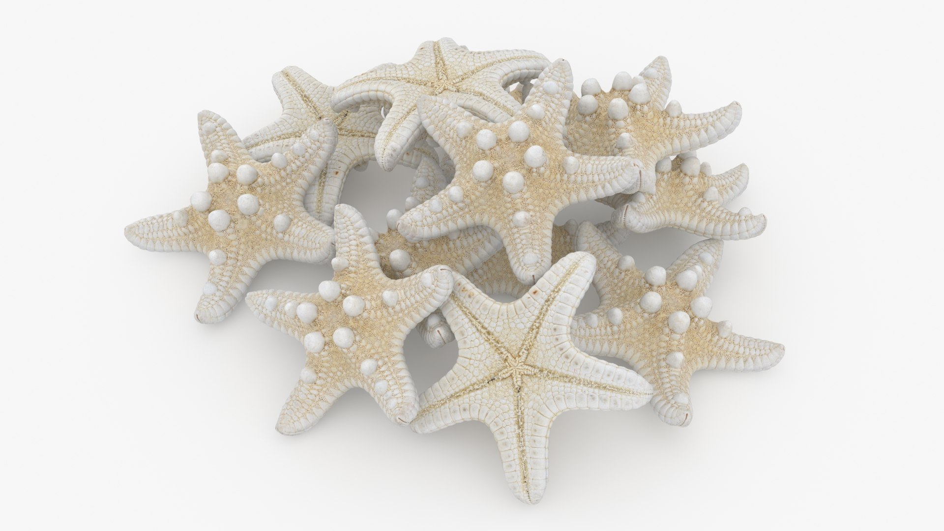 Starfish Pile 3D model https://p.turbosquid.com/ts-thumb/Nc/vtrp9U/0h/starfish2_b0014/jpg/1729072875/1920x1080/fit_q87/2712ebbbc7dce1a3a9da29e9e1438a2bb957ad24/starfish2_b0014.jpg