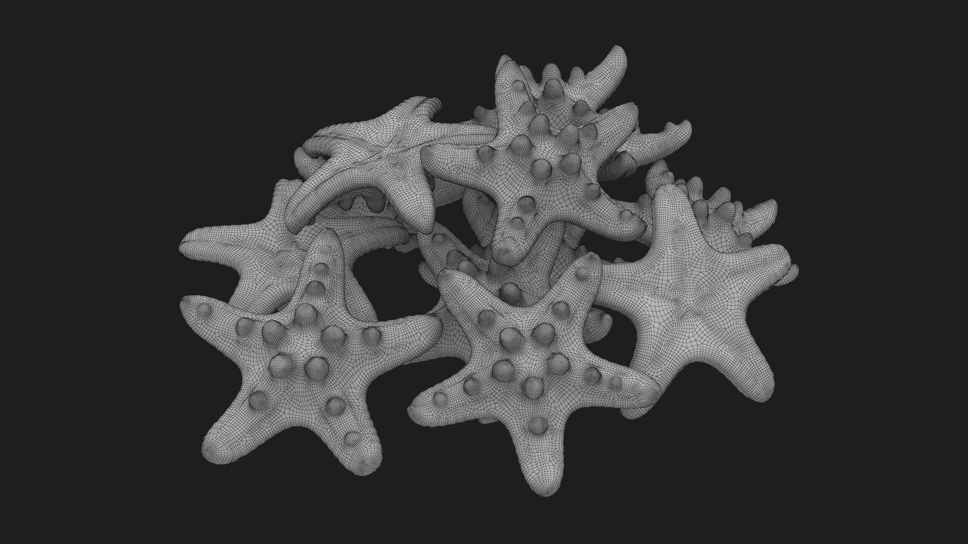 Starfish Pile 3D model https://p.turbosquid.com/ts-thumb/Nc/vtrp9U/1N/starfish2_g0003/jpg/1729072883/1920x1080/fit_q87/f0b41b6584bddd341cb917d37c8a990014c77a5a/starfish2_g0003.jpg