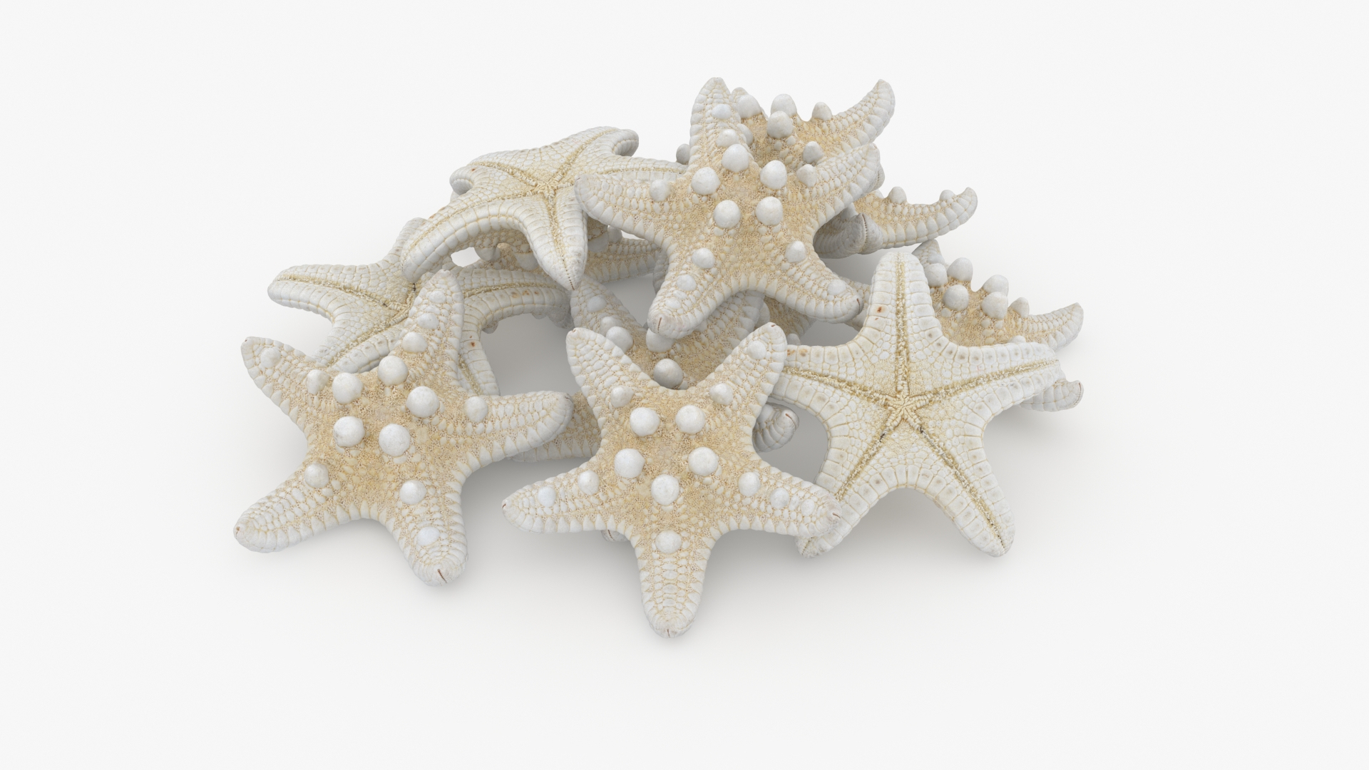 Starfish Pile 3D model https://p.turbosquid.com/ts-thumb/Nc/vtrp9U/2M/starfish2pile/jpg/1729072792/1920x1080/turn_fit_q99/28c5c42347f65d1b95a4264b4ceae7a4f9d62502/starfish2pile-1.jpg