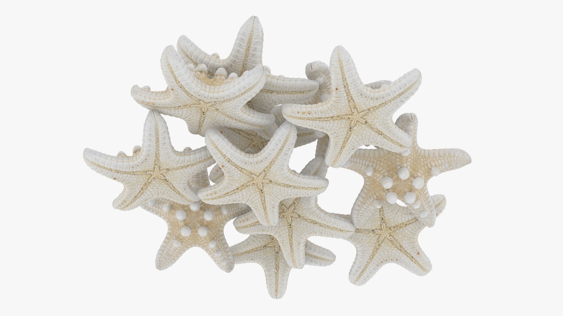 Starfish Pile 3D model https://p.turbosquid.com/ts-thumb/Nc/vtrp9U/93/starfish2_b0022/jpg/1729072878/1920x1080/fit_q87/d0f22432046a96dbcb1bab714e68c71896bd1263/starfish2_b0022.jpg