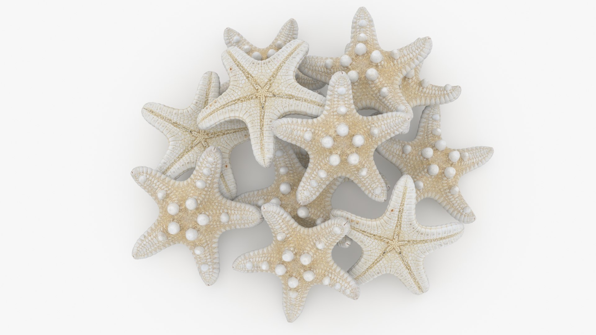 Starfish Pile 3D model https://p.turbosquid.com/ts-thumb/Nc/vtrp9U/P2/starfish2_b0016/jpg/1729072875/1920x1080/fit_q87/76b82e374f7a9b9f8cd9912ebf4c42a4266e6caf/starfish2_b0016.jpg
