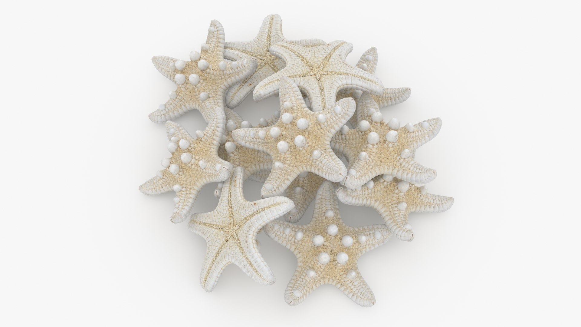 Starfish Pile 3D model https://p.turbosquid.com/ts-thumb/Nc/vtrp9U/QC/starfish2_b0008/jpg/1729072872/1920x1080/fit_q87/069518da42a55a7405ea8d11e3bf6cffd38a0fba/starfish2_b0008.jpg