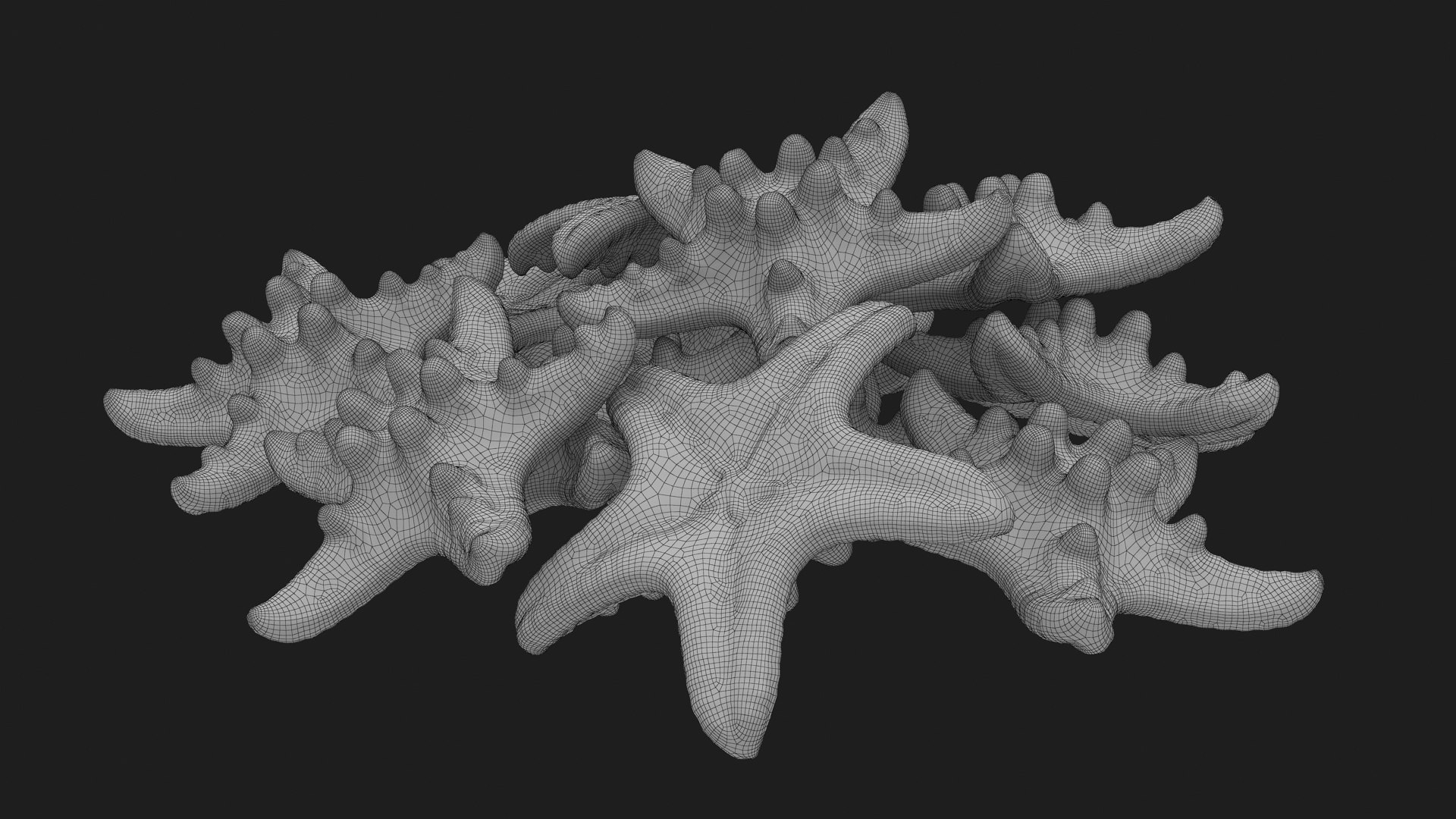 Starfish Pile 3D Model - TurboSquid 2293363