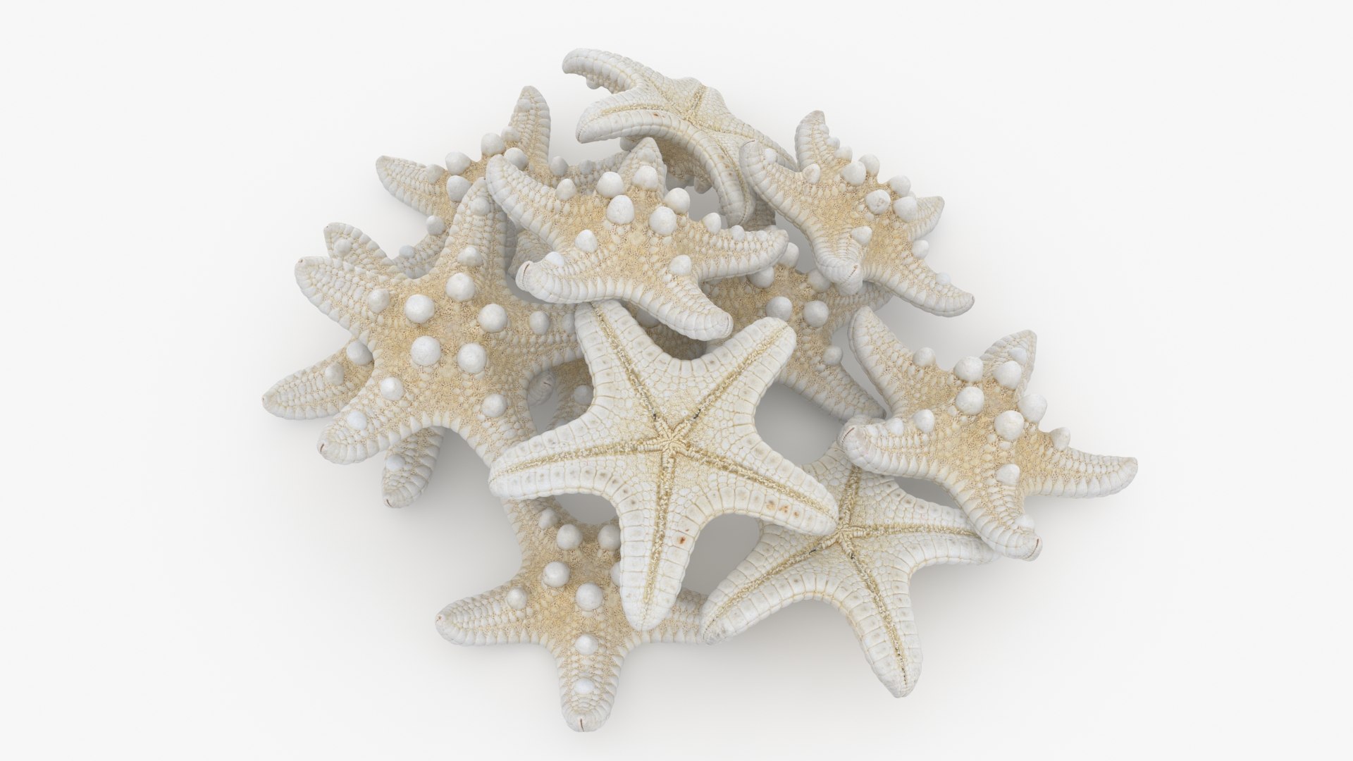 Starfish Pile 3D model https://p.turbosquid.com/ts-thumb/Nc/vtrp9U/YD/starfish2_b0012/jpg/1729072873/1920x1080/fit_q87/2d78d4c279e78d54ee856180d6881546dbc58bba/starfish2_b0012.jpg