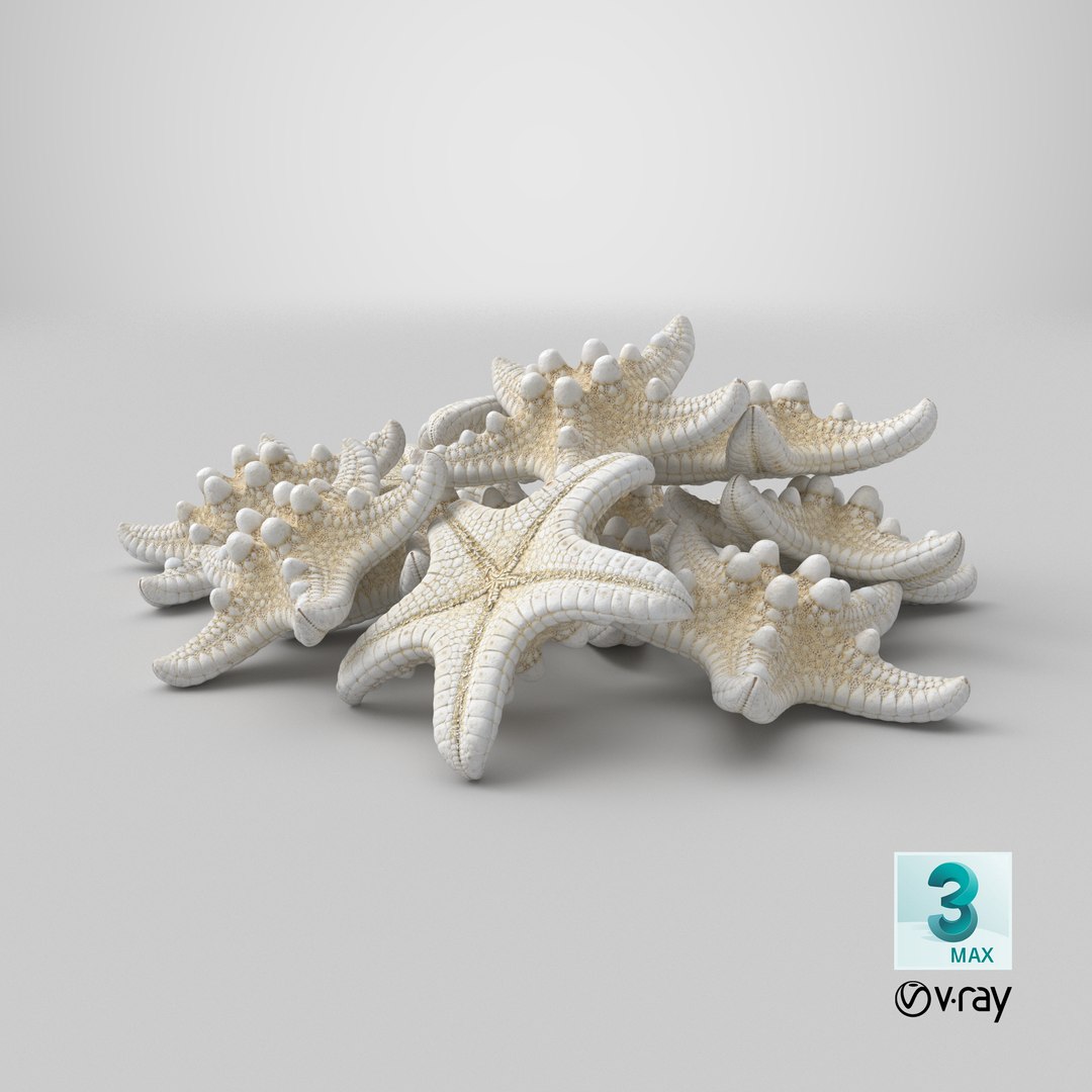 Starfish Pile 3D model https://p.turbosquid.com/ts-thumb/Nc/vtrp9U/e9/stemcell_max_vray_render/png/1729769386/1920x1080/fit_q87/cc96ac79af7e3ab208a41773c06dbd223ca044f0/stemcell_max_vray_render.jpg