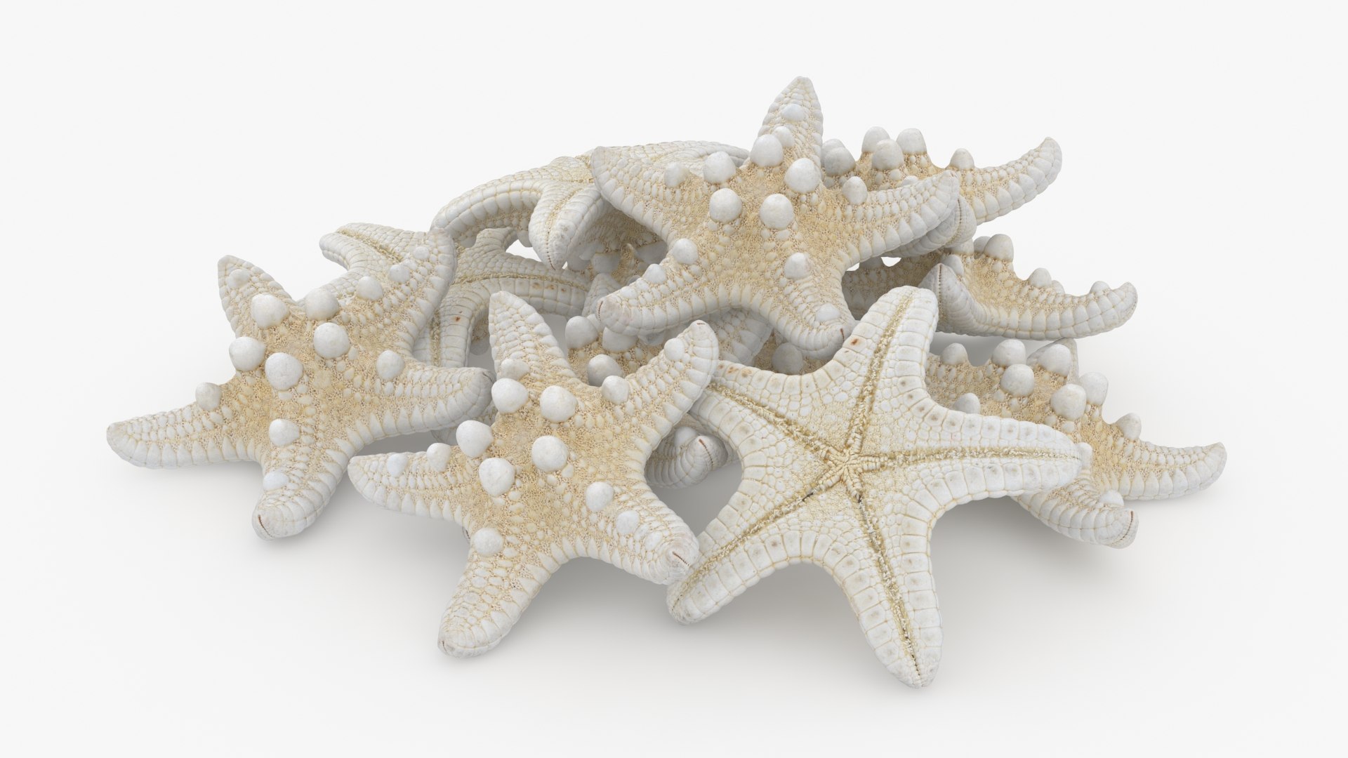Starfish Pile 3D model https://p.turbosquid.com/ts-thumb/Nc/vtrp9U/f3/starfish2_b0018/jpg/1729072877/1920x1080/fit_q87/a949776d6df53c809ae3805b64cff8acdcd0f9ab/starfish2_b0018.jpg