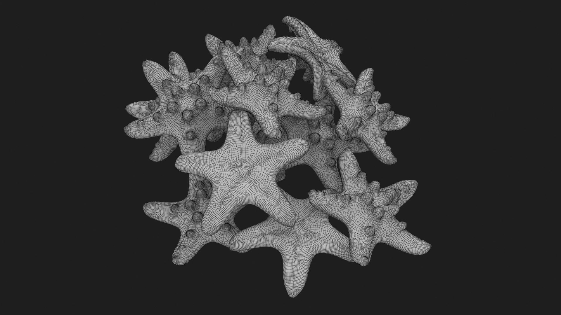 Starfish Pile 3D model https://p.turbosquid.com/ts-thumb/Nc/vtrp9U/o7/starfish2_g0001/jpg/1729072882/1920x1080/fit_q87/04d9cb3269e334d5c26bd3b7e64aba4ed99997bf/starfish2_g0001.jpg