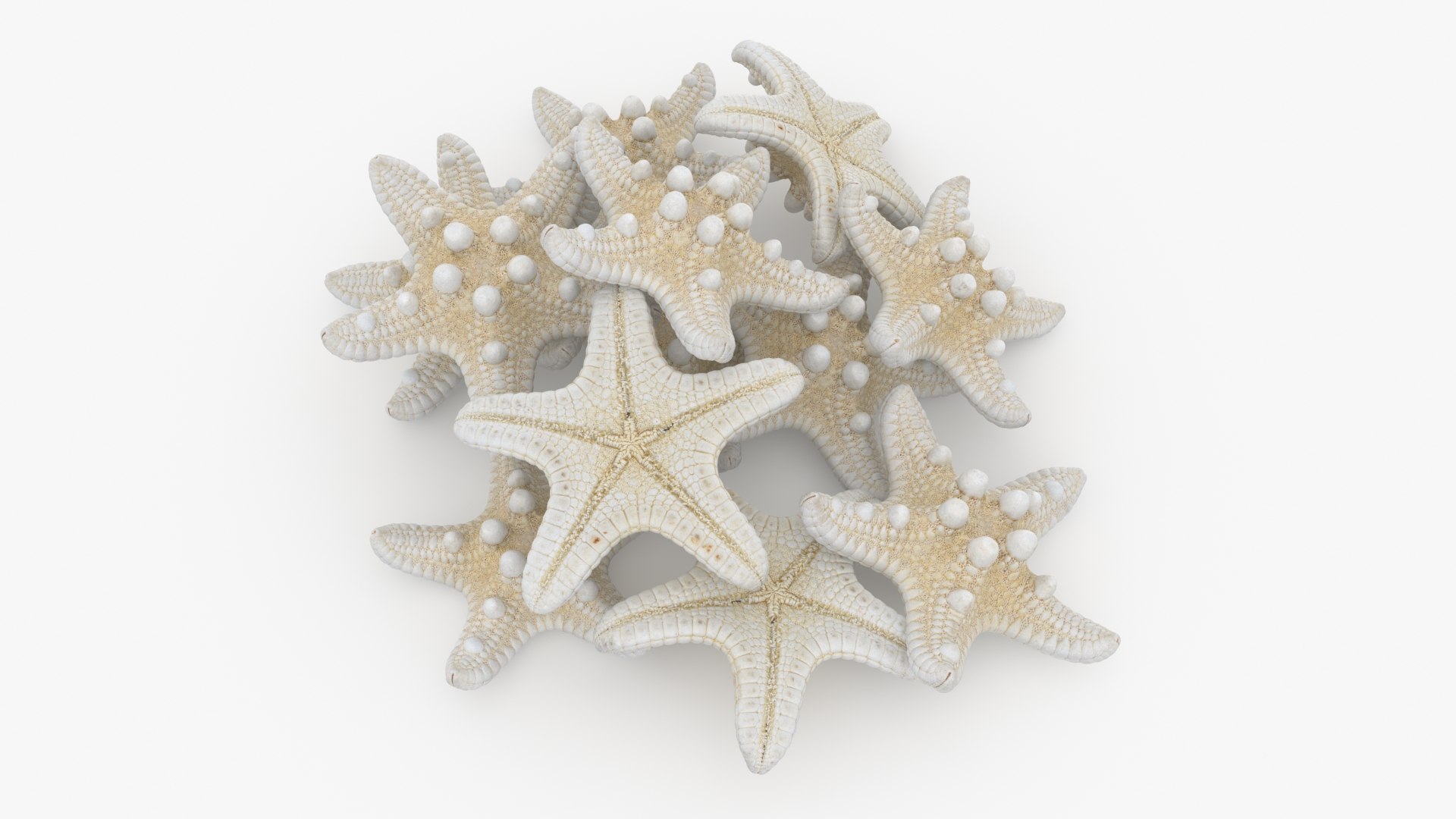 Starfish Pile 3D model https://p.turbosquid.com/ts-thumb/Nc/vtrp9U/ul/starfish2_b0002/jpg/1729072869/1920x1080/fit_q87/33e9e9e095d79b6bd45b741066e9e70421845c9e/starfish2_b0002.jpg