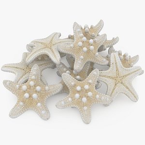 Starfish Pile 3D model