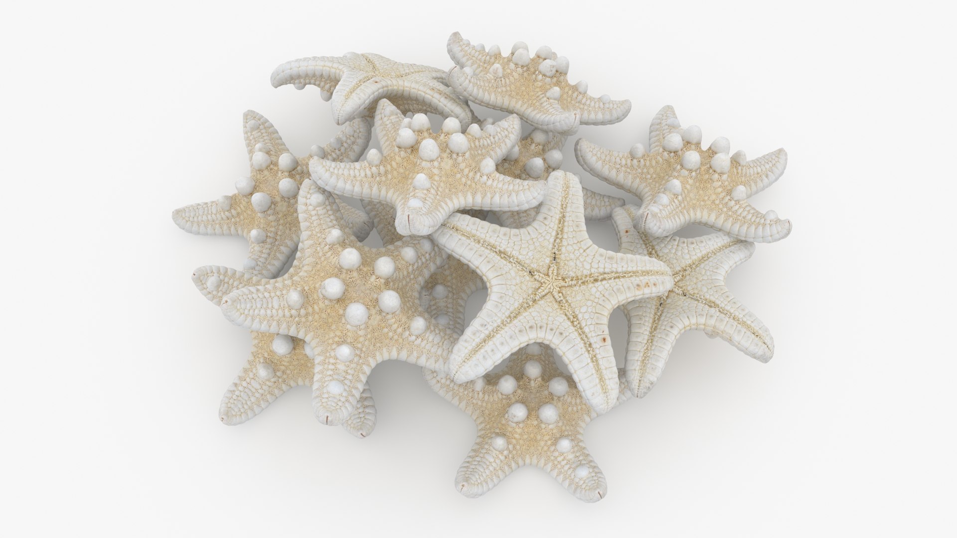 Starfish Pile 3D model https://p.turbosquid.com/ts-thumb/Nc/vtrp9U/xG/starfish2_b0020/jpg/1729072877/1920x1080/fit_q87/acdf0e2f4dace971a5eedd5eb50badd8d7ff7596/starfish2_b0020.jpg