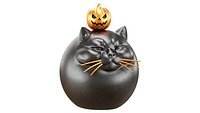 Jack o Lantern and the Black Cat
