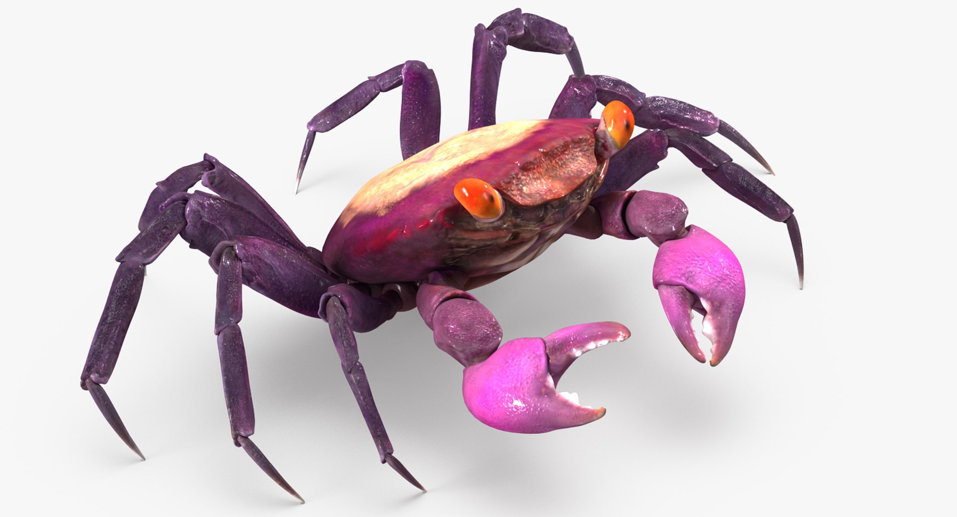 Vampire Crab Geosesarma Rigged 3D Model 3D model preview