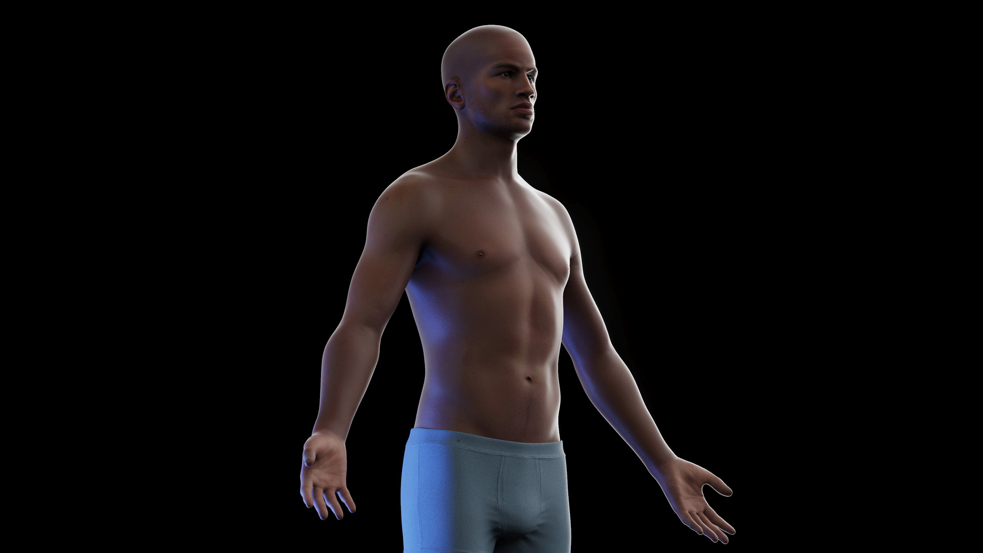 3D Human Anatomy Black Male Body model - TurboSquid 2027147