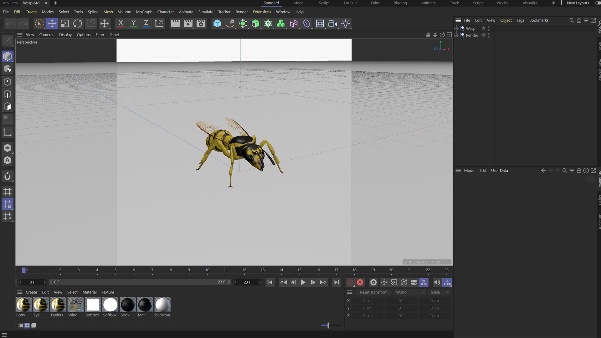 3D Wasp Model - TurboSquid 2370268