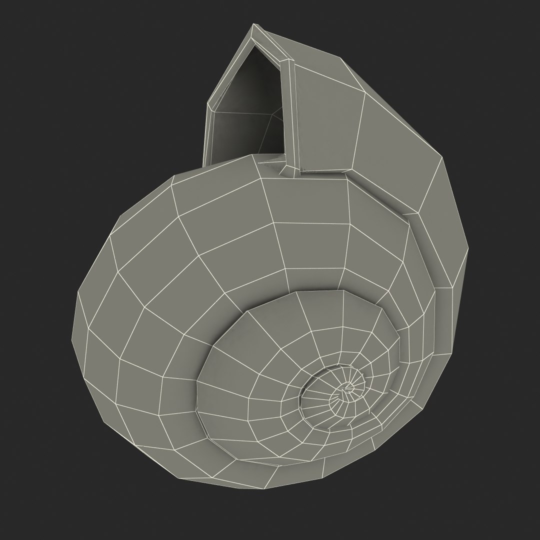 3ds max snail shell 2 https://p.turbosquid.com/ts-thumb/Nd/F9Zu2U/2YvZHAJ1/3dmodelofsnailshell26/jpg/1447079407/1920x1080/fit_q87/127b3121d0d5e01e35d826269888b044b0b2c633/3dmodelofsnailshell26.jpg