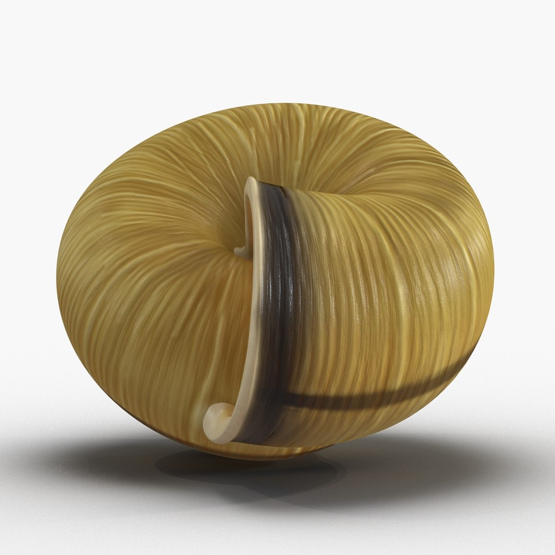 3ds max snail shell 2 https://p.turbosquid.com/ts-thumb/Nd/F9Zu2U/QD5fXHnC/3dmodelofsnailshell09/jpg/1447079406/1920x1080/fit_q87/4810268e7df11b0fc432640a675d3f2ed4a3064b/3dmodelofsnailshell09.jpg