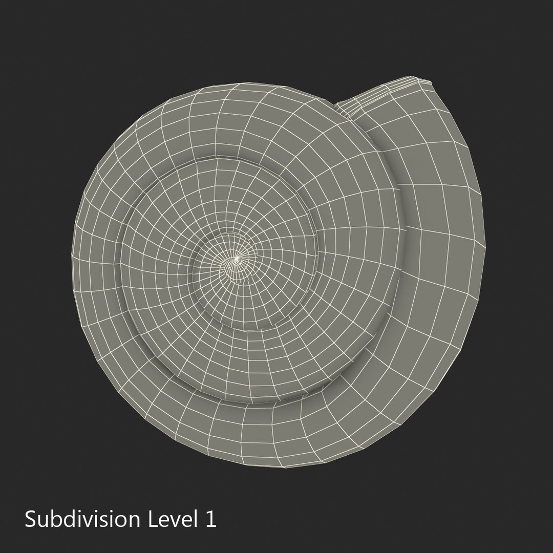 3ds max snail shell 2 https://p.turbosquid.com/ts-thumb/Nd/F9Zu2U/kmhsO9Bf/3dmodelofsnailshell16/jpg/1447079406/1920x1080/fit_q87/f5dc96a70085d60f152a43f150138d93a6723908/3dmodelofsnailshell16.jpg