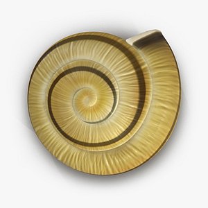 Snail Shell 2 3D Model