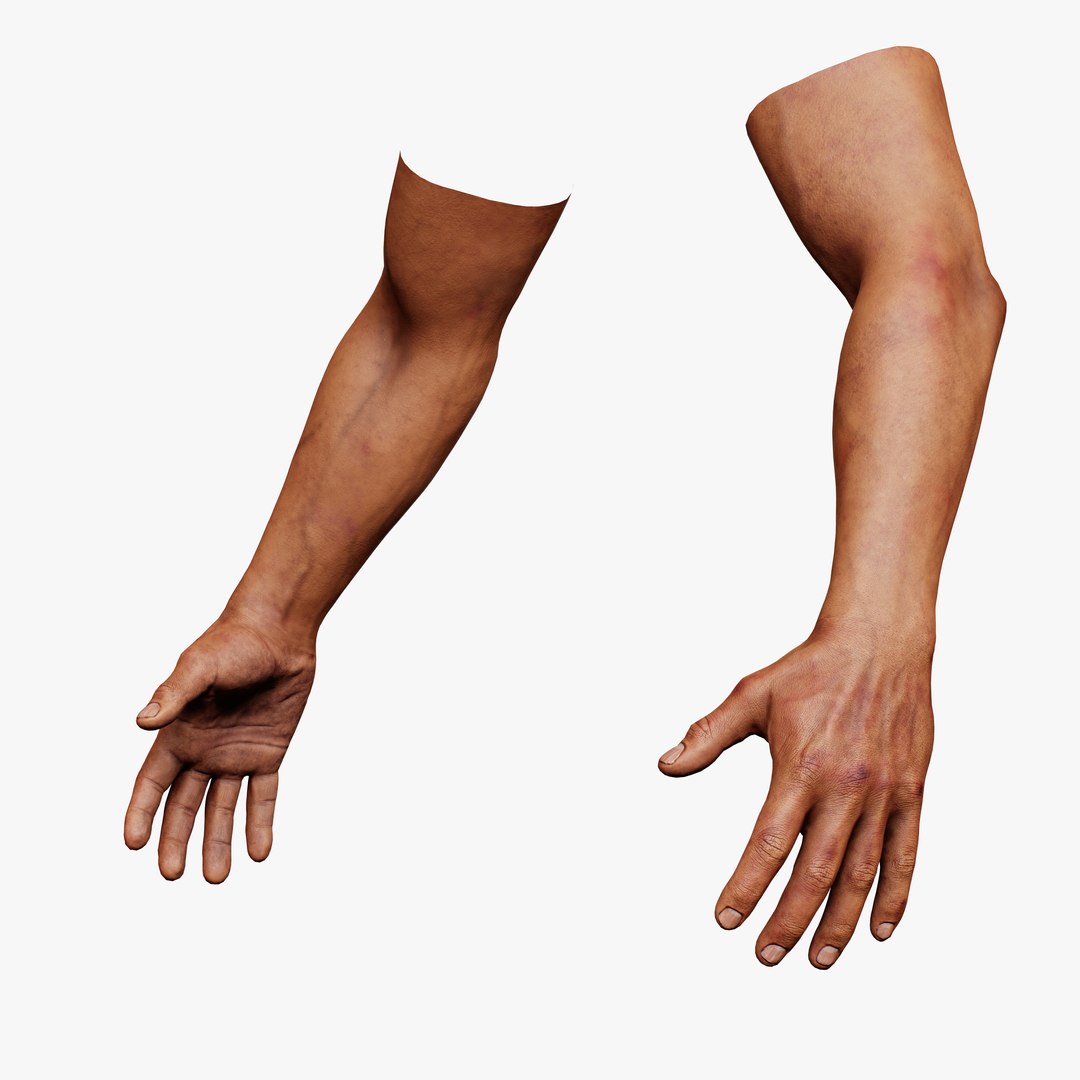 Male FPS Arm 3D https://p.turbosquid.com/ts-thumb/Nd/FgahQP/YY/male_fps_arm_render_16/jpg/1744698998/1920x1080/fit_q87/8a3dd95709e2d86b7f0b9b90b17adc3ae6f78f07/male_fps_arm_render_16.jpg