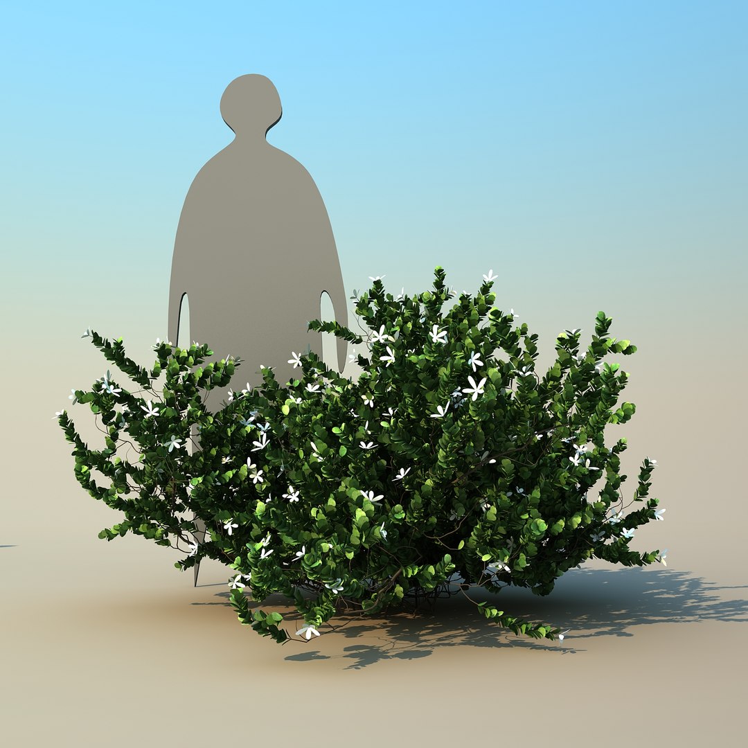 2 tree 3d model https://p.turbosquid.com/ts-thumb/Nd/H894xQ/606cJEgZ/natalplum_06/jpg/1488297342/1920x1080/fit_q87/cef20c892e83c8618ed4a603912b22943cae4e30/natalplum_06.jpg