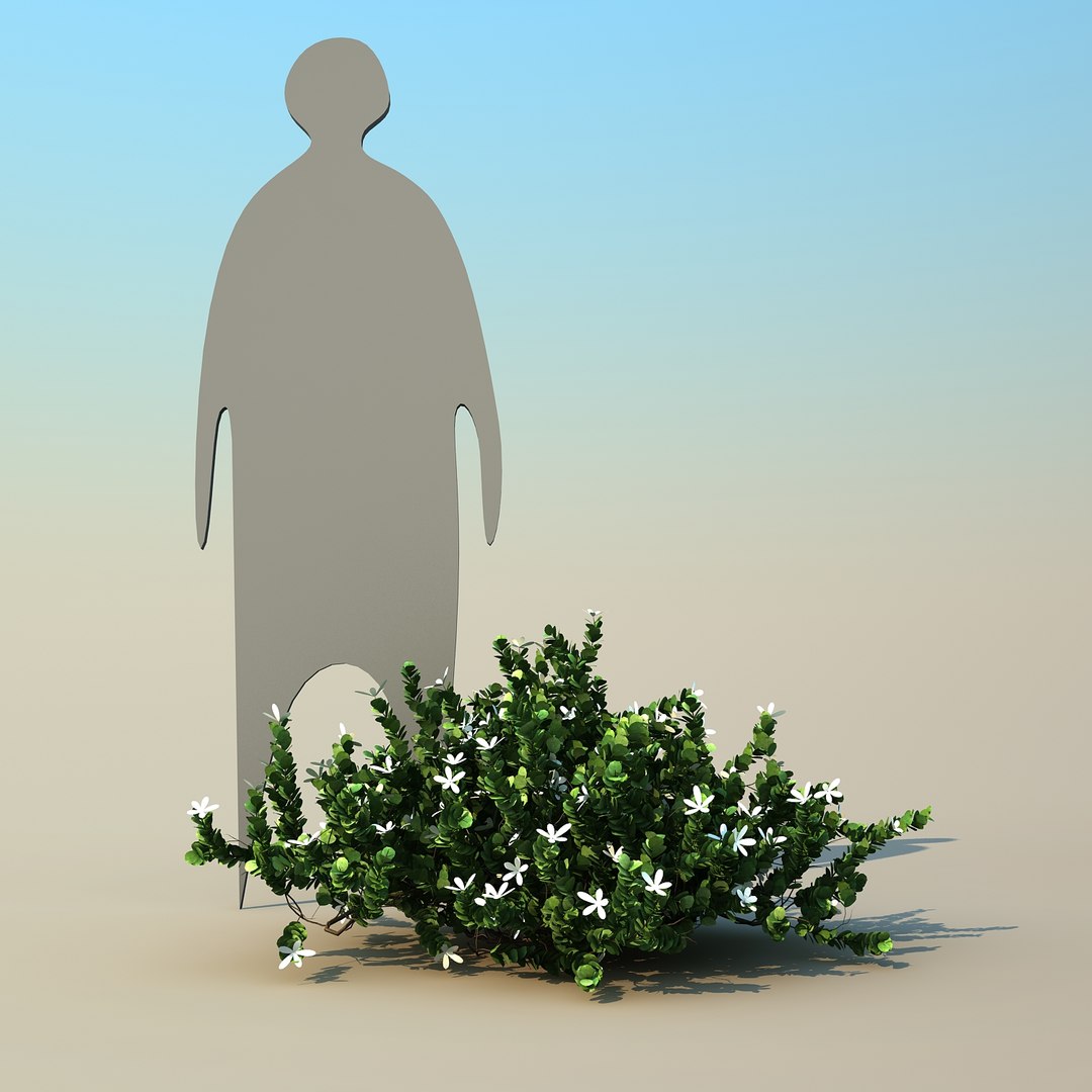 2 tree 3d model https://p.turbosquid.com/ts-thumb/Nd/H894xQ/BUnHfR1u/natalplum_01/jpg/1488297342/1920x1080/fit_q87/4f7373e054a2873a6a34f5b3b6ed7b9d37f2fe60/natalplum_01.jpg