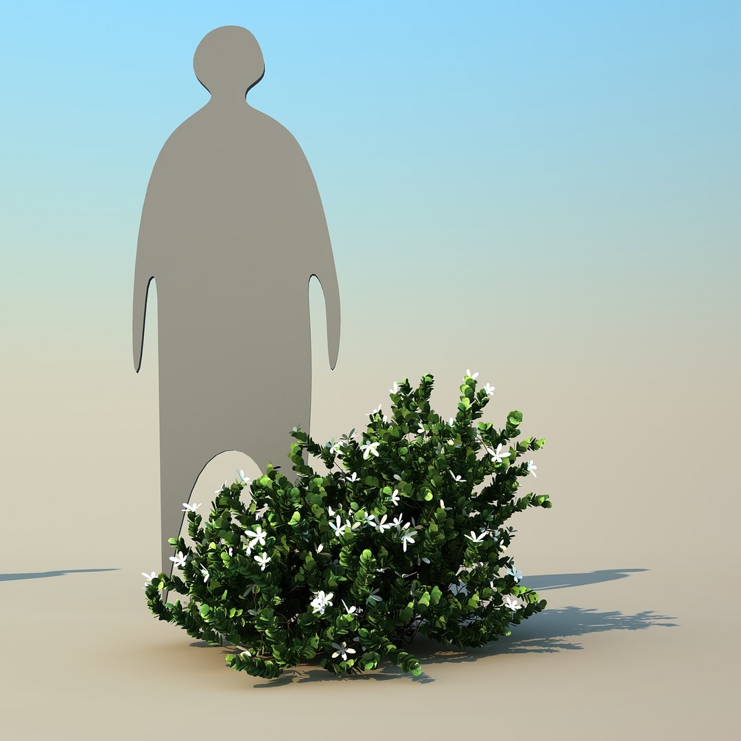 2 tree 3d model https://p.turbosquid.com/ts-thumb/Nd/H894xQ/Lq2NEvbn/natalplum_03/jpg/1488297342/1920x1080/fit_q87/551ce8acb81f283b92d26b25626828cc21792289/natalplum_03.jpg