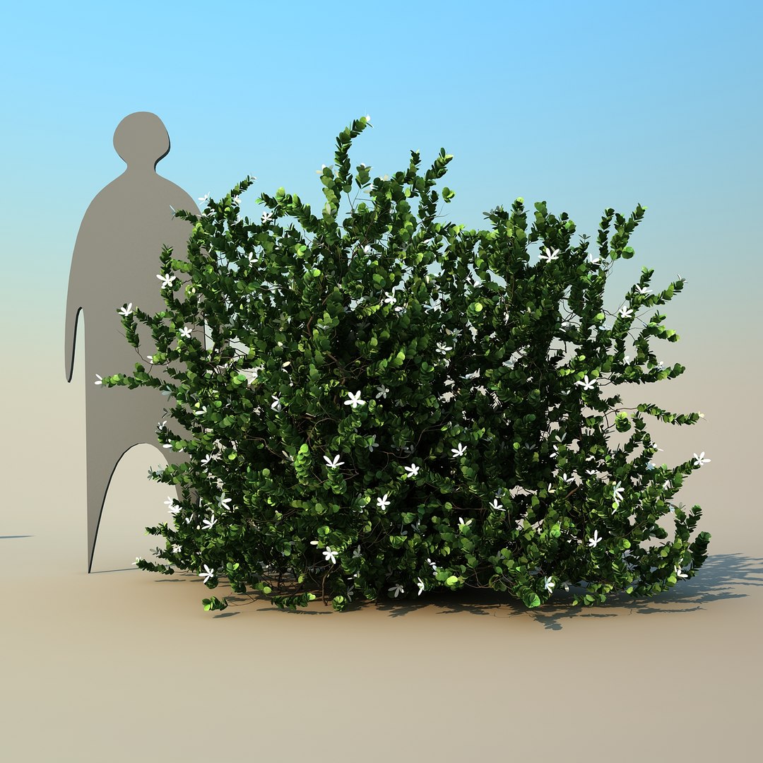 2 tree 3d model https://p.turbosquid.com/ts-thumb/Nd/H894xQ/OTi19amR/natalplum_09/jpg/1488297342/1920x1080/fit_q87/b1a0f9b7dff55ec0deabffa727417b31cead665e/natalplum_09.jpg