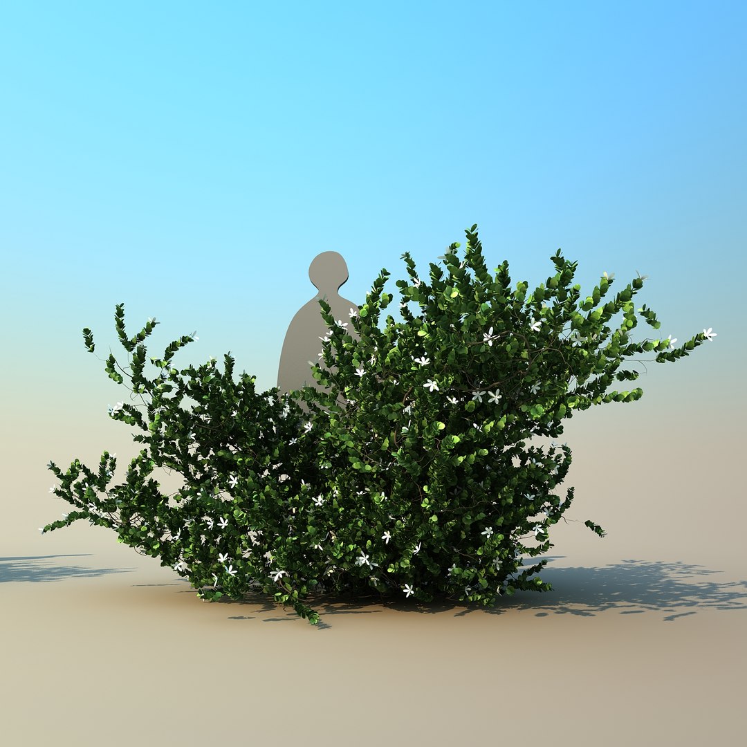 2 tree 3d model https://p.turbosquid.com/ts-thumb/Nd/H894xQ/OVqw3IwL/natalplum_010/jpg/1488297342/1920x1080/fit_q87/8755665c90756c013f52541ecc4573ac9a108ed6/natalplum_010.jpg