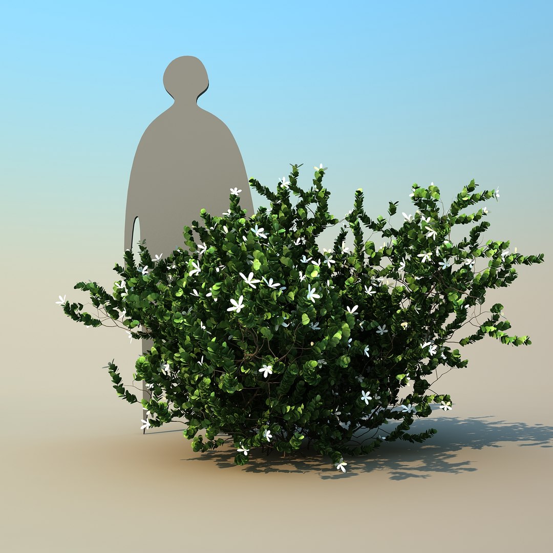 2 tree 3d model https://p.turbosquid.com/ts-thumb/Nd/H894xQ/aD6PvPRA/natalplum_07/jpg/1488297342/1920x1080/fit_q87/1ff6c8dc4f96cf0ca4740d5604da3743cb53a0d1/natalplum_07.jpg