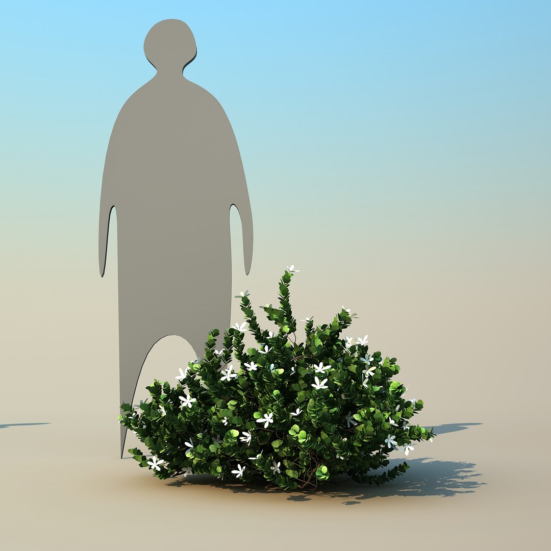 2 tree 3d model https://p.turbosquid.com/ts-thumb/Nd/H894xQ/f78jfHKw/natalplum_02/jpg/1488297342/1920x1080/fit_q87/9e8b8999cd6f15ddc0349b79727a19f1746e9923/natalplum_02.jpg