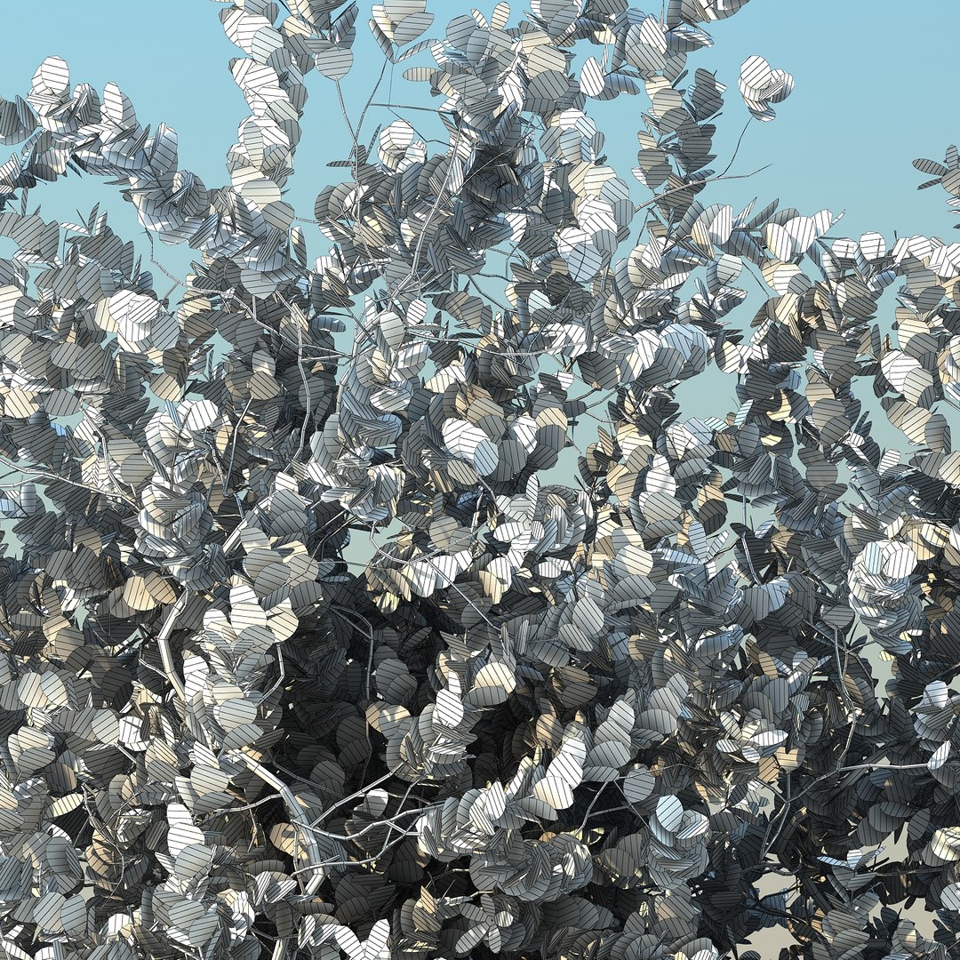 2 tree 3d model https://p.turbosquid.com/ts-thumb/Nd/H894xQ/oT6RMppl/natalplum_012/jpg/1488297342/1920x1080/fit_q87/184ce89bfa91bed7473d3a6398c67b0be4b94773/natalplum_012.jpg