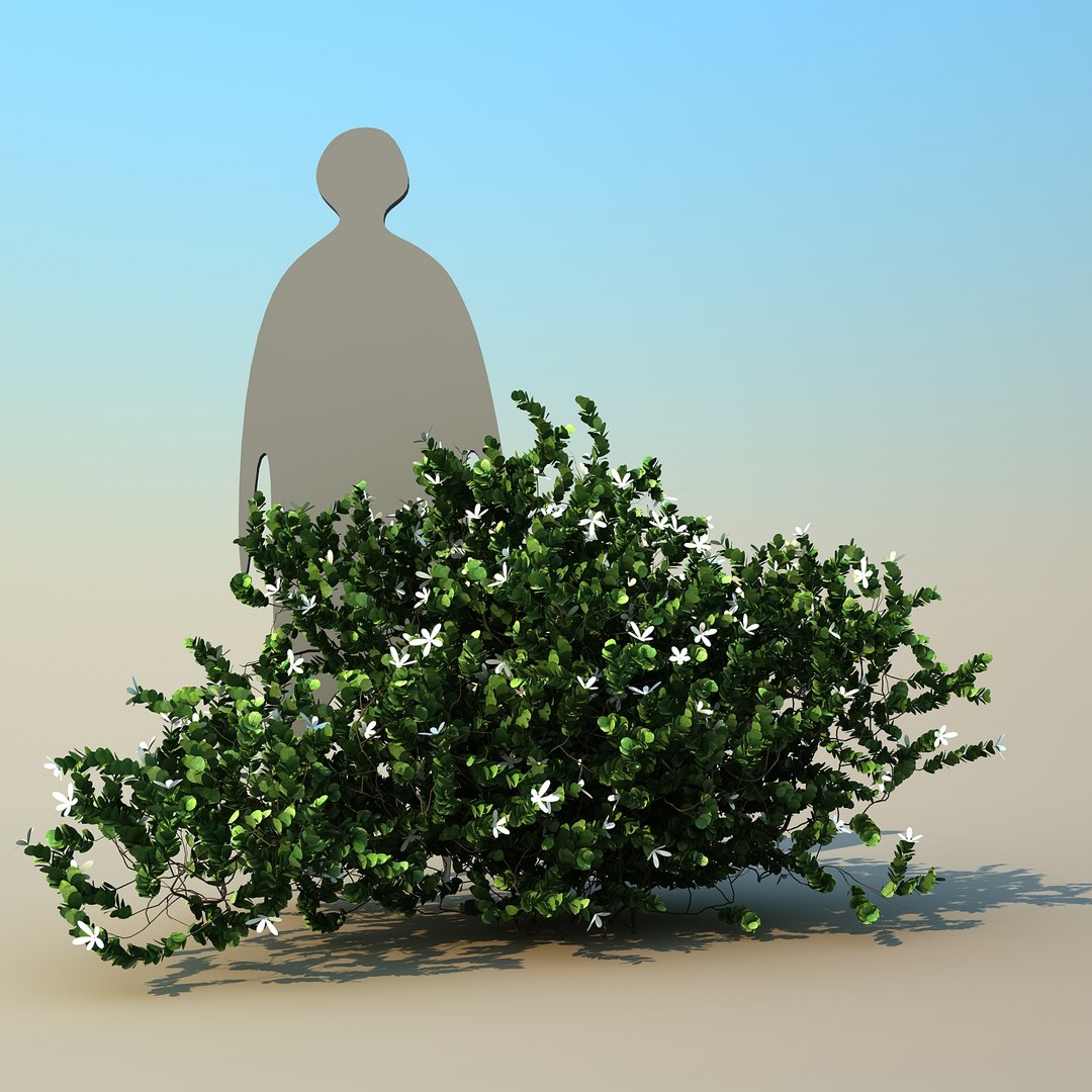 2 tree 3d model https://p.turbosquid.com/ts-thumb/Nd/H894xQ/q2XVRUWc/natalplum_05/jpg/1488297342/1920x1080/fit_q87/e2b94327bd8b535e6fc9b00cce1a1c53382abb60/natalplum_05.jpg