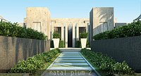 natal plum 2