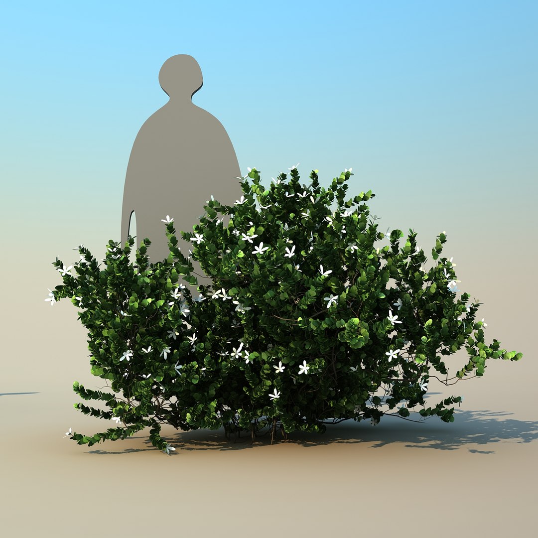 2 tree 3d model https://p.turbosquid.com/ts-thumb/Nd/H894xQ/wJ9JU5en/natalplum_08/jpg/1488297342/1920x1080/fit_q87/84da7b1390d20ce1c25feac62917acb268e7cb5f/natalplum_08.jpg