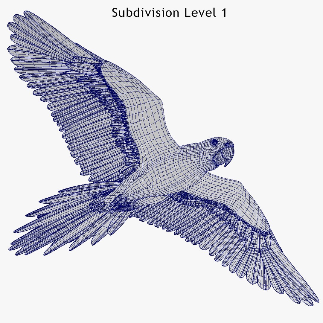 Maya Parrot Animator 2