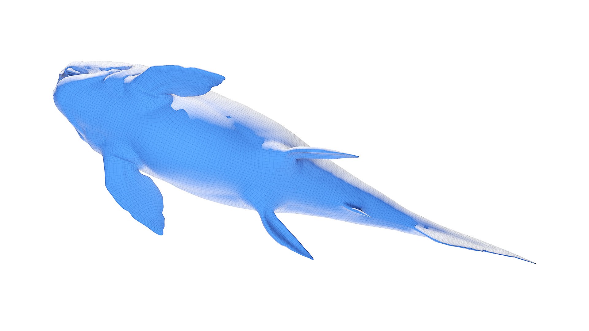 3D Dunkleosteus Animated model https://p.turbosquid.com/ts-thumb/Nd/LqRrMx/bL/dunkleosteus_wire0003/jpg/1652695978/1920x1080/fit_q87/9b4068897f3090c7043ed9134db295664f4004dc/dunkleosteus_wire0003.jpg
