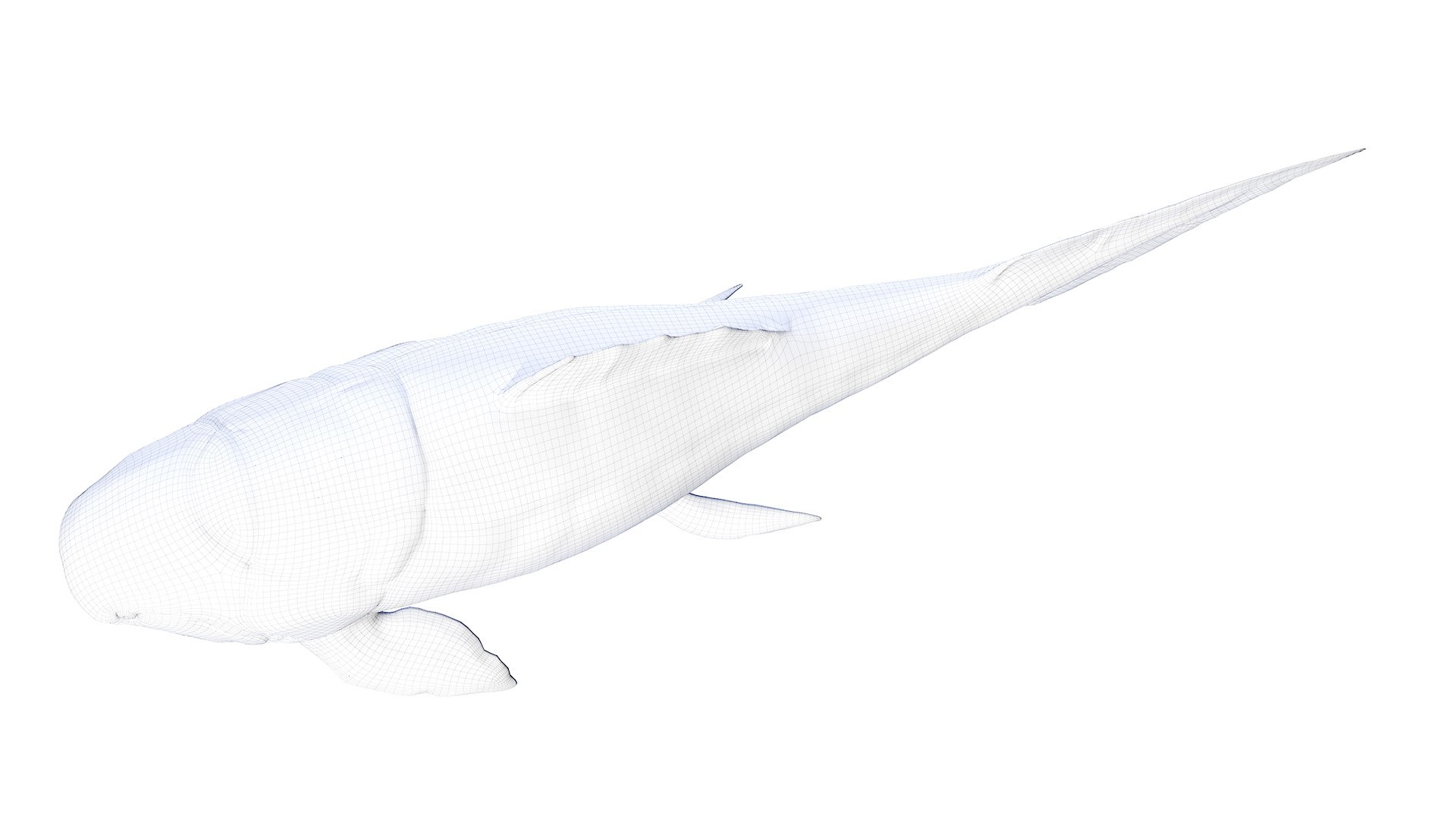 3D Dunkleosteus Animated model https://p.turbosquid.com/ts-thumb/Nd/LqRrMx/hp/dunkleosteus_wire0004/jpg/1652695977/1920x1080/fit_q87/8e3b07dce9a8cb0ac31c9a1672c19a0c49fafa1f/dunkleosteus_wire0004.jpg
