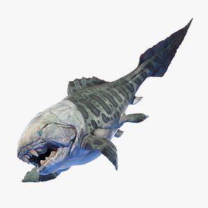 3D Dunkleosteus Animated model