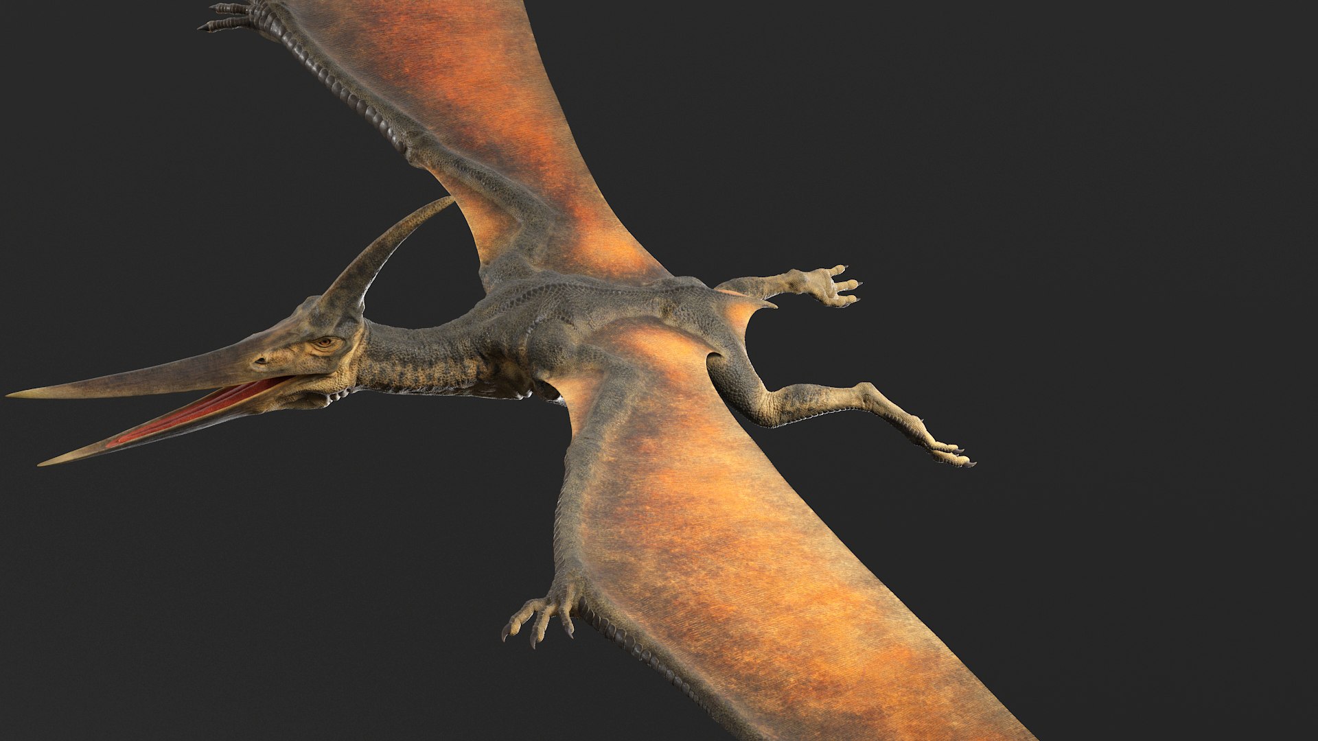 3D pteranodon rig https://p.turbosquid.com/ts-thumb/Nd/Mv7phF/0iPVr91M/prev_no_rig_001/jpg/1573649166/1920x1080/fit_q87/ec4c12a59d2eb59e77fa67136902a5c57ea692ab/prev_no_rig_001.jpg