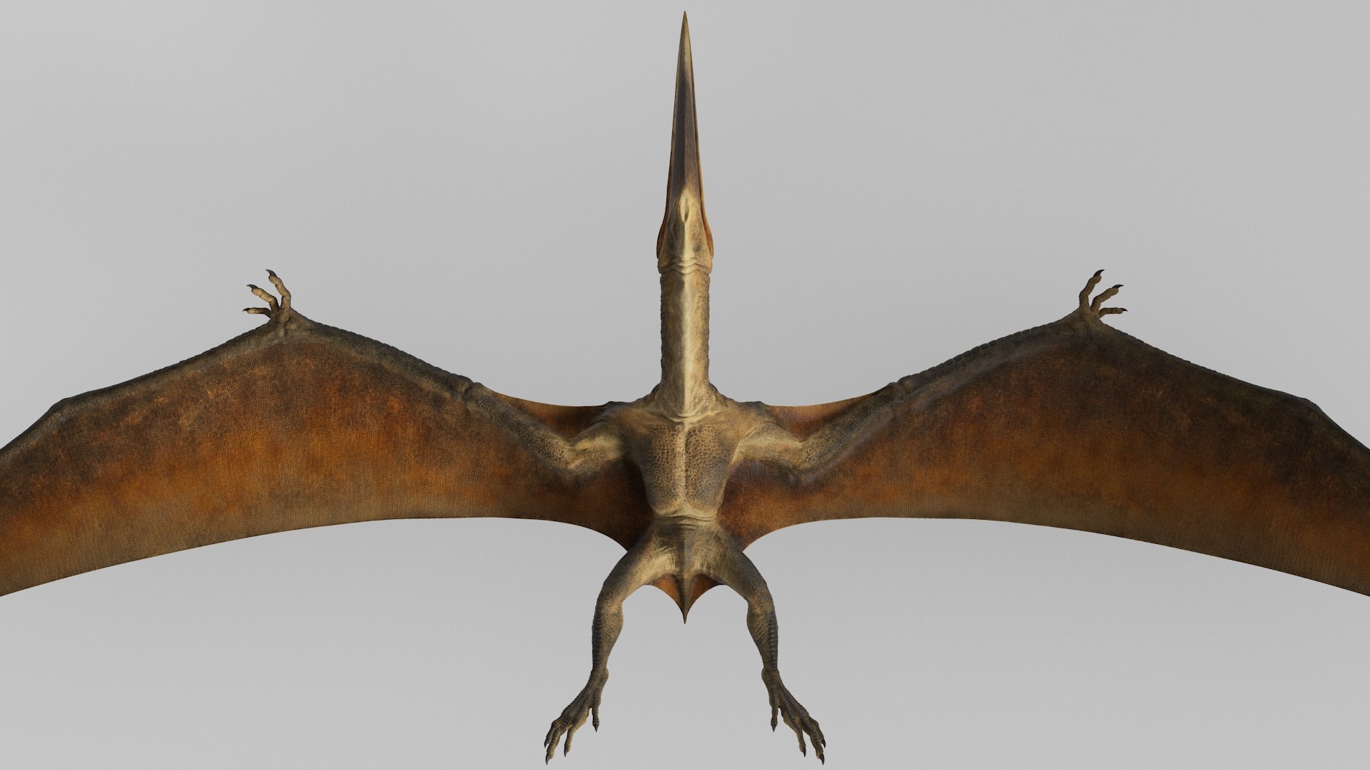 3D pteranodon rig - TurboSquid 1471016