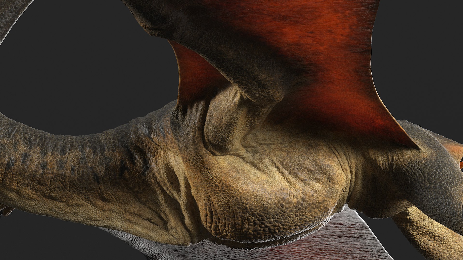 3D pteranodon rig - TurboSquid 1471016