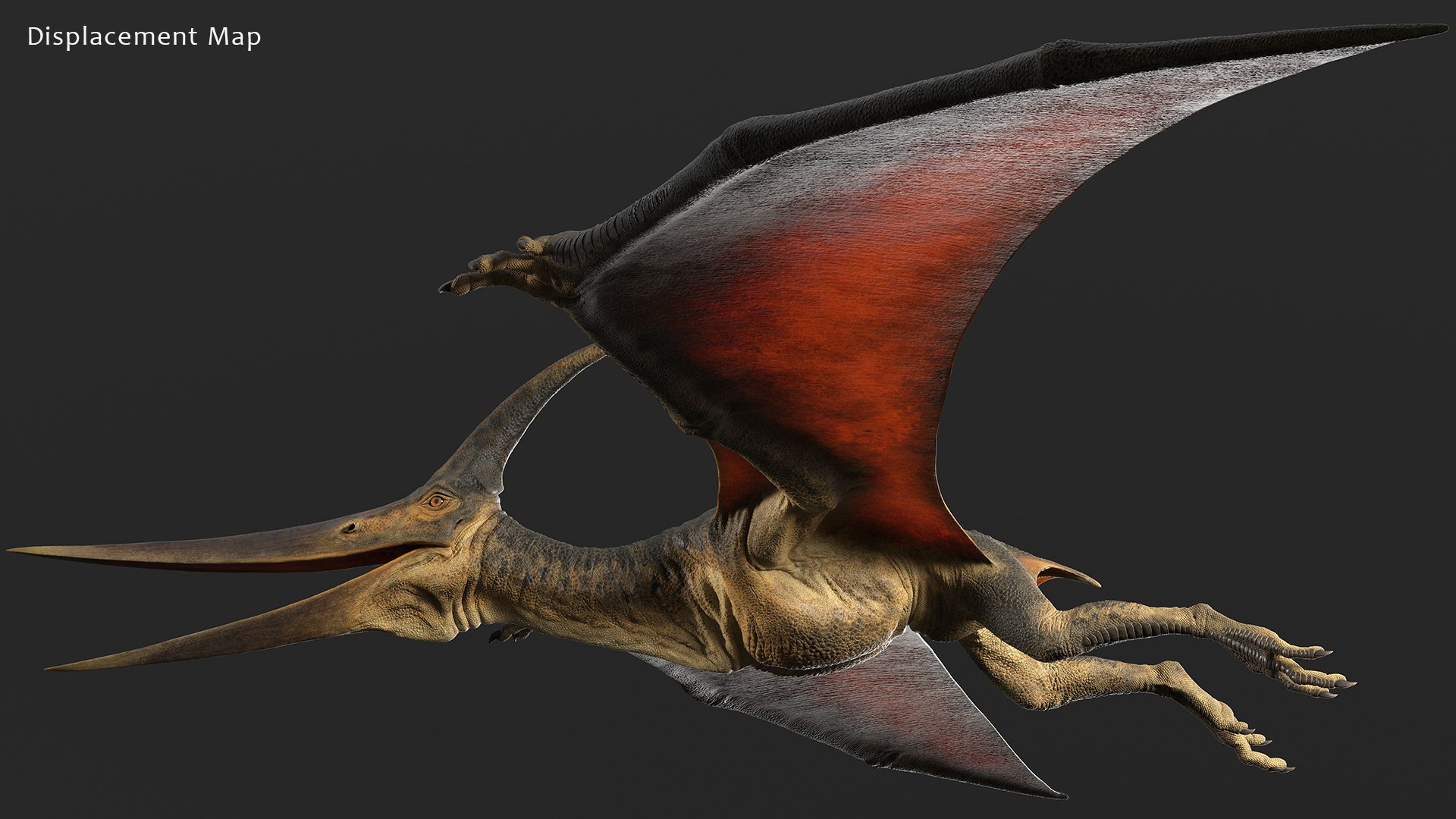 3D pteranodon rig - TurboSquid 1471016