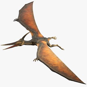 Pteranodon No Rig(1)