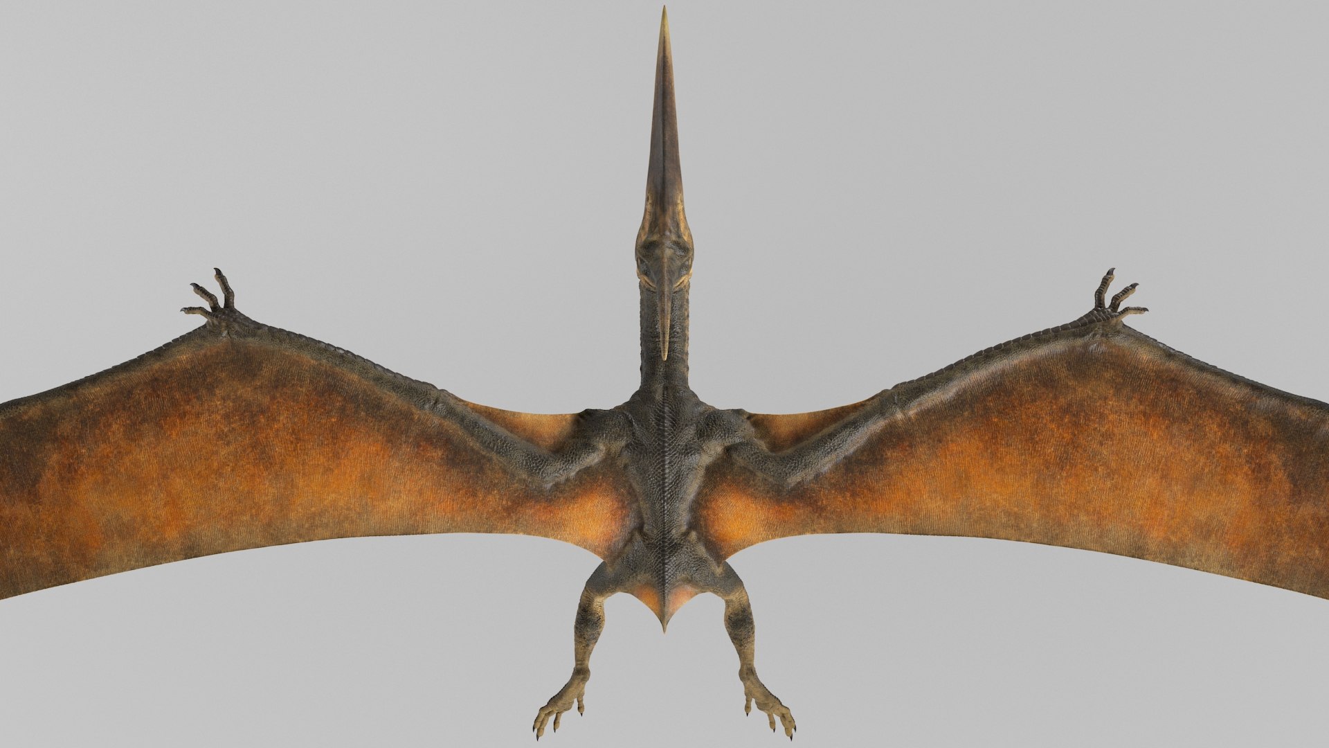 3D pteranodon rig - TurboSquid 1471016