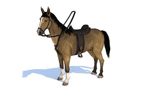 3D horse rigged palomino animation